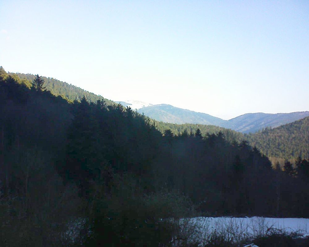 Le petit ballon (Alsace, Vosges) le 19.01.2022 à 10:00