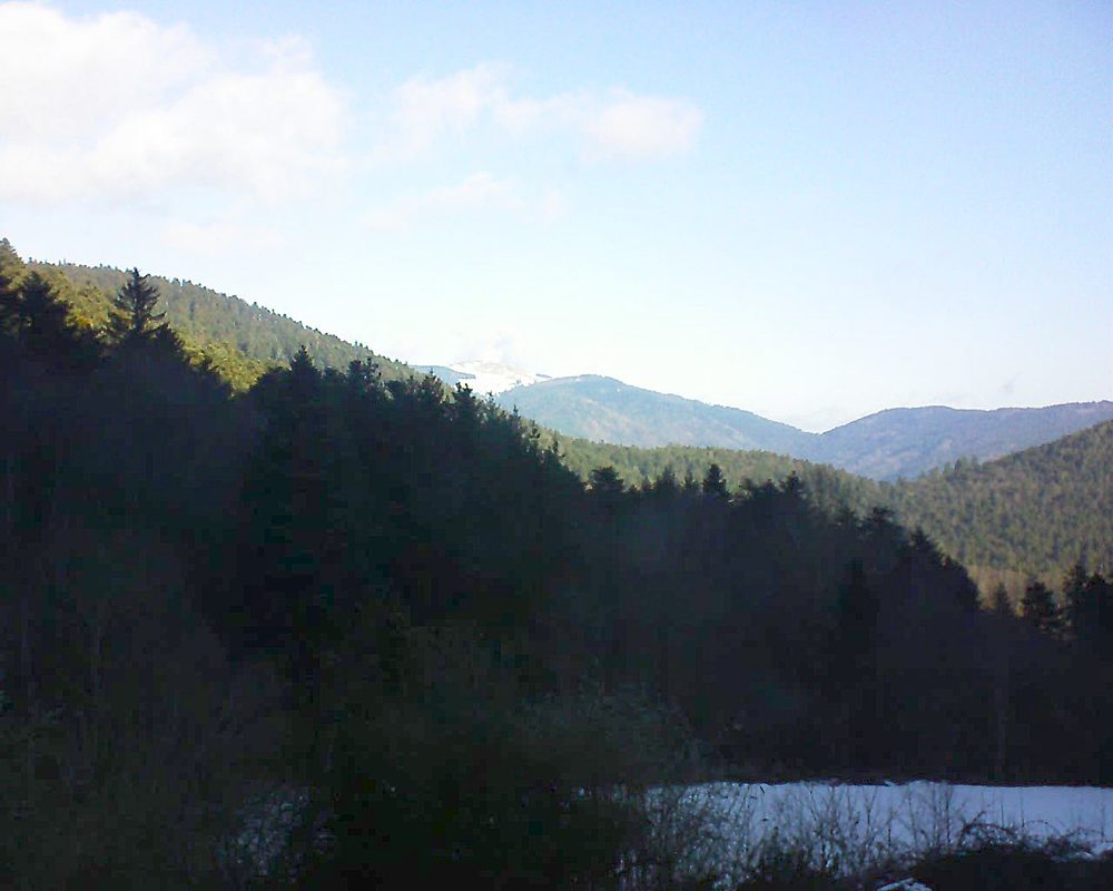 Le petit ballon (Alsace, Vosges) le 19.01.2022 à 10:30