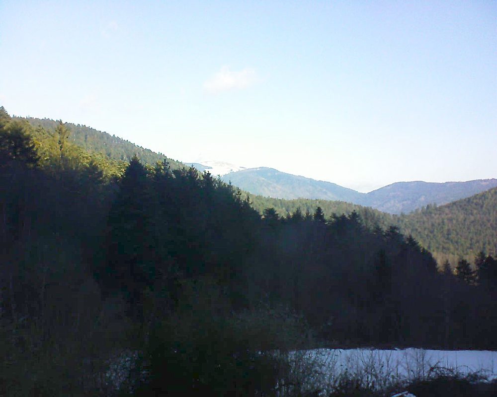 Le petit ballon (Alsace, Vosges) le 19.01.2022 à 10:45