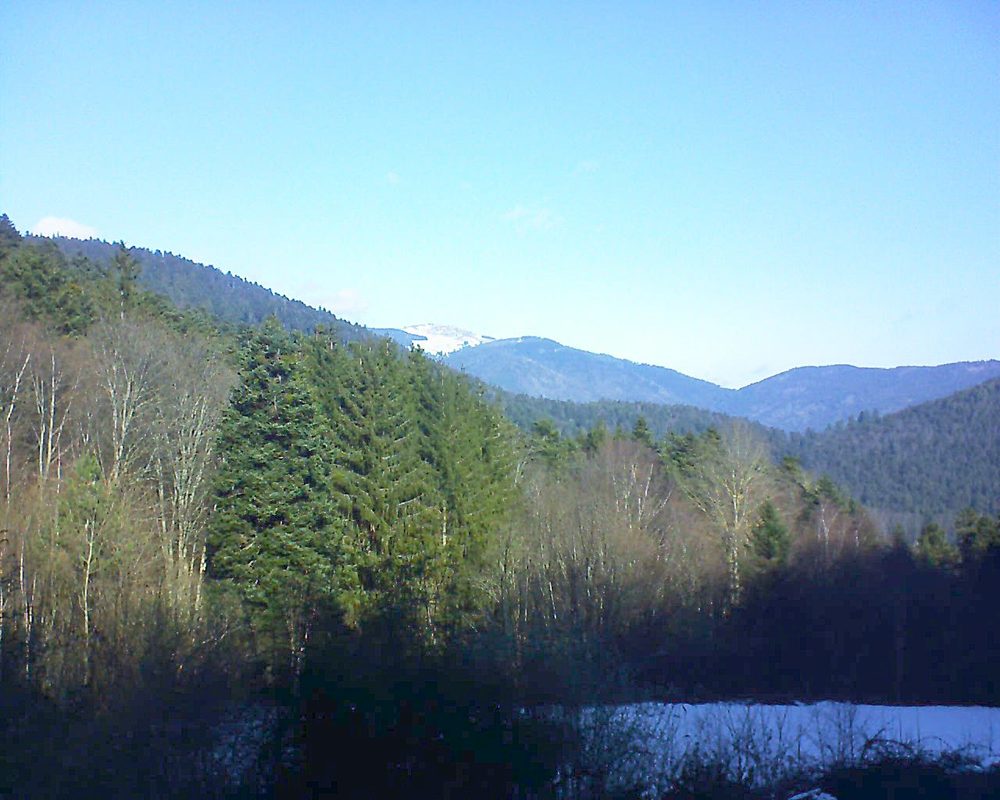 Le petit ballon (Alsace, Vosges) le 19.01.2022 à 11:30