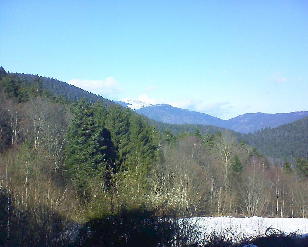 Le petit ballon (Alsace, Vosges) le 19.01.2022 à 13:15