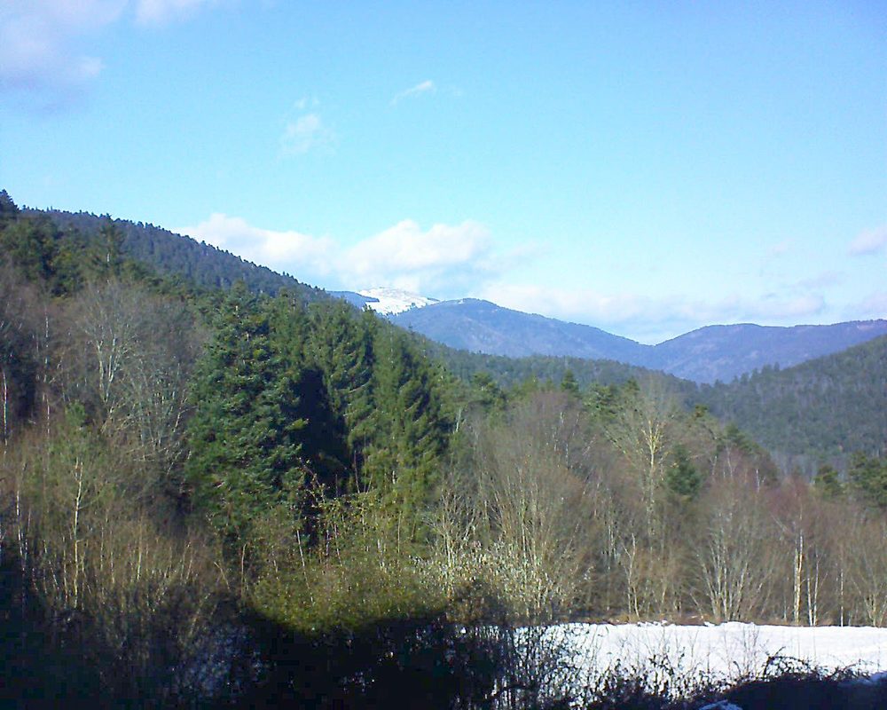 Le petit ballon (Alsace, Vosges) le 19.01.2022 à 13:30