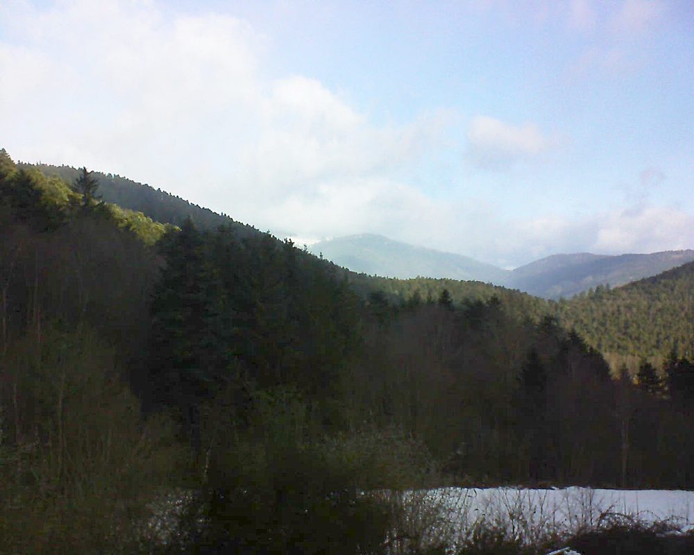 Le petit ballon (Alsace, Vosges) le 20.01.2022 à 10:30