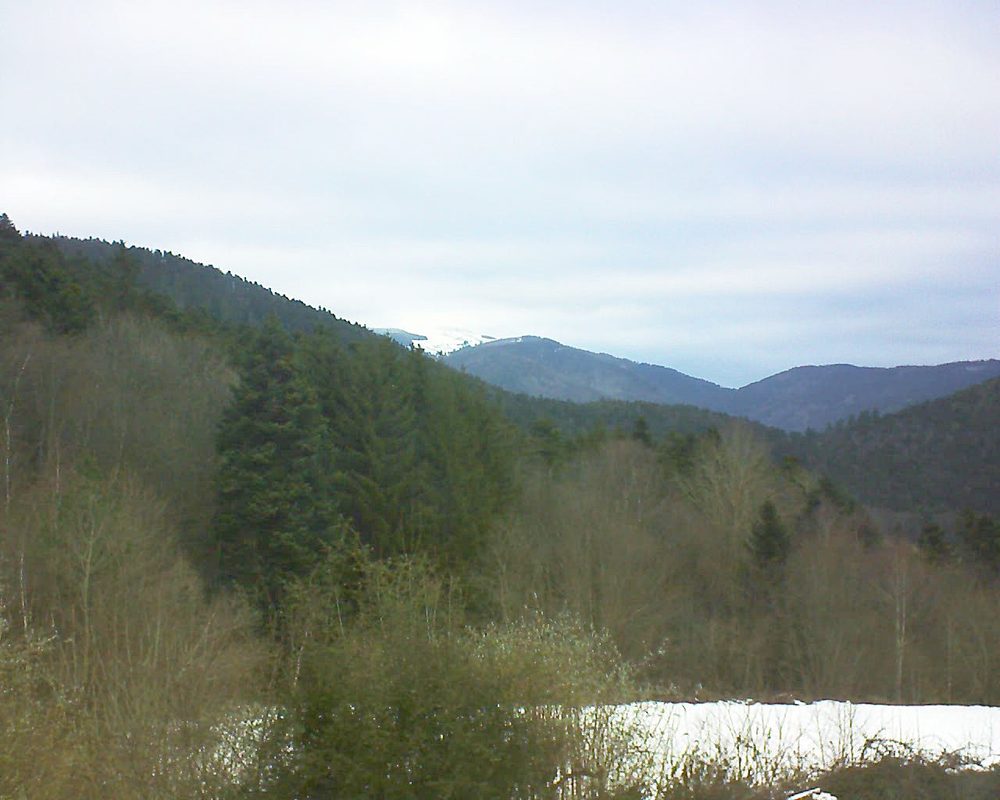 Le petit ballon (Alsace, Vosges) le 22.01.2022 à 10:15