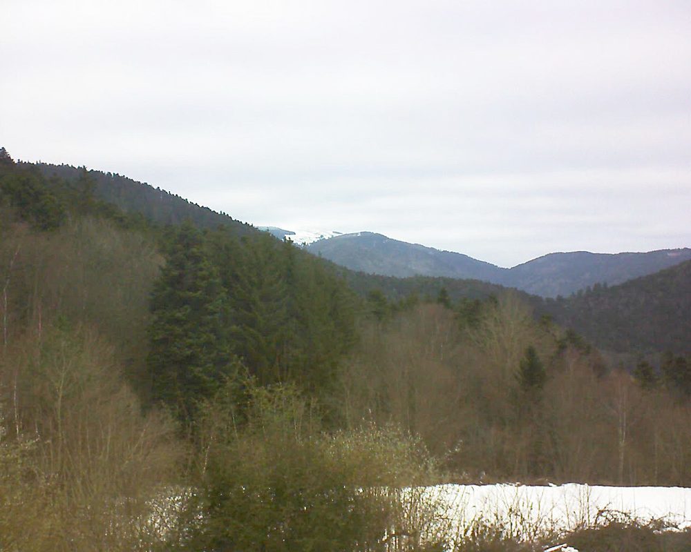 Le petit ballon (Alsace, Vosges) le 22.01.2022 à 10:30