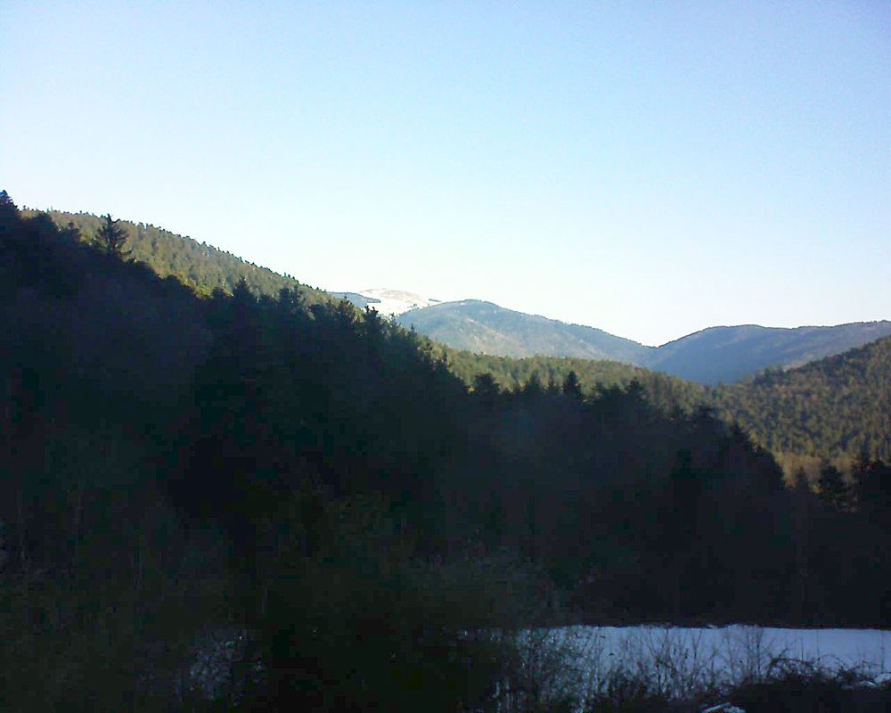 Le petit ballon (Alsace, Vosges) le 24.01.2022 à 09:30