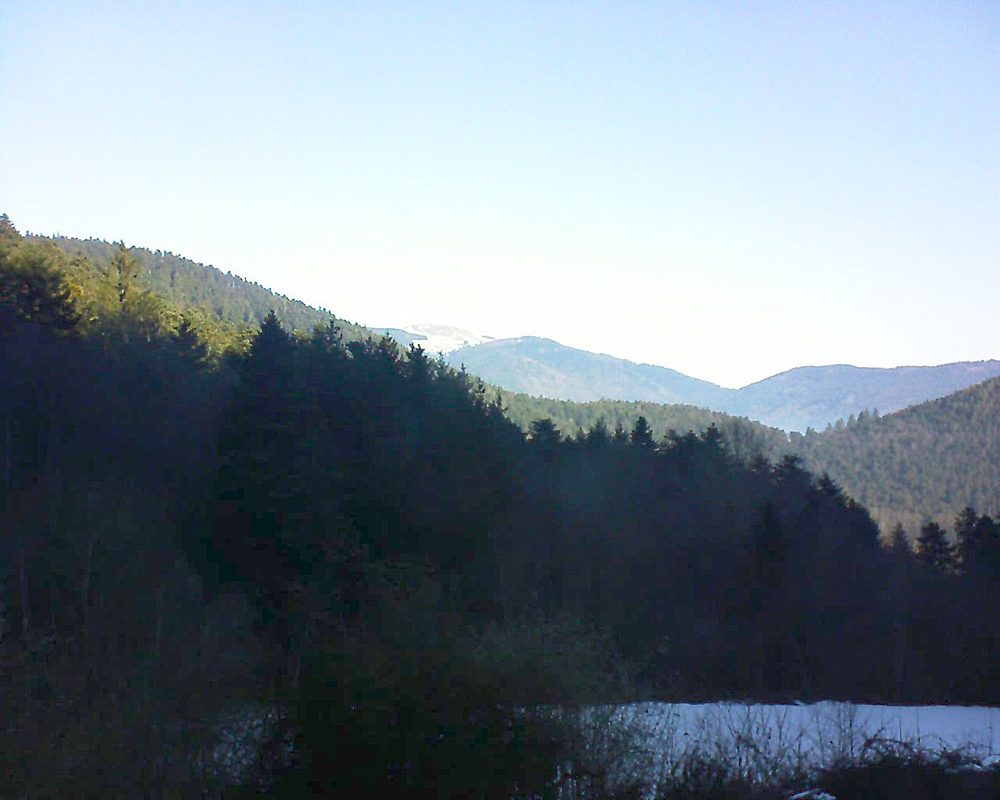 Le petit ballon (Alsace, Vosges) le 26.01.2022 à 10:30
