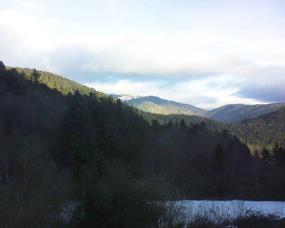 Le petit ballon (Alsace, Vosges) le 29.01.2022 à 09:30
