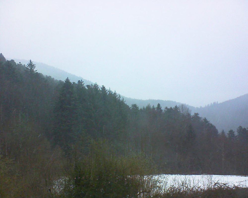 Le petit ballon (Alsace, Vosges) le 31.01.2022 à 08:30