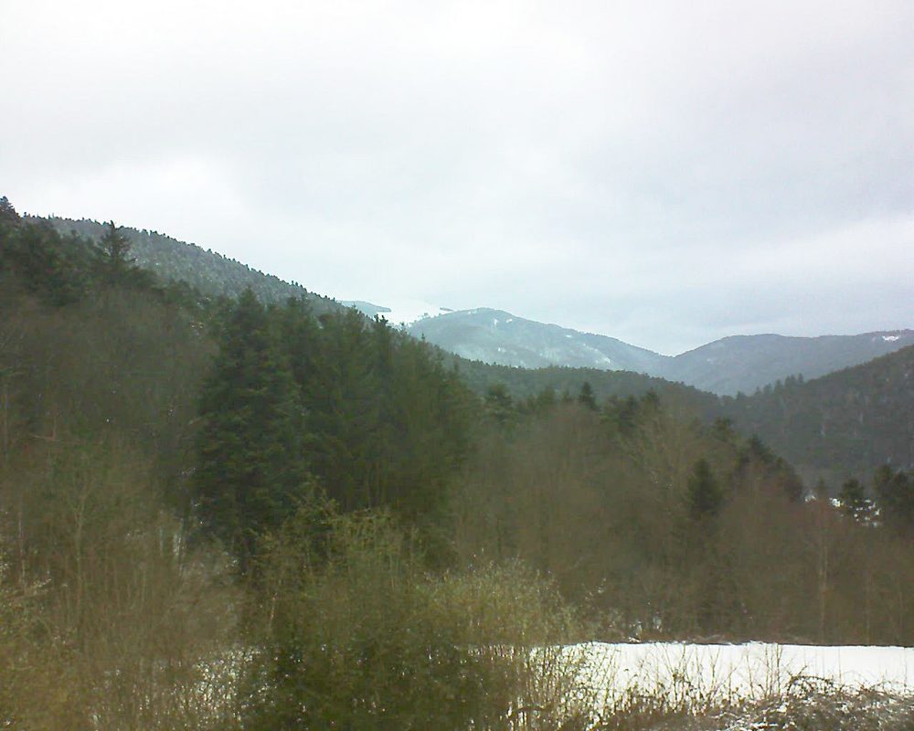 Le petit ballon (Alsace, Vosges) le 01.02.2022 à 08:30