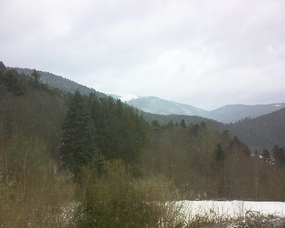 Le petit ballon (Alsace, Vosges) le 01.02.2022 à 09:15
