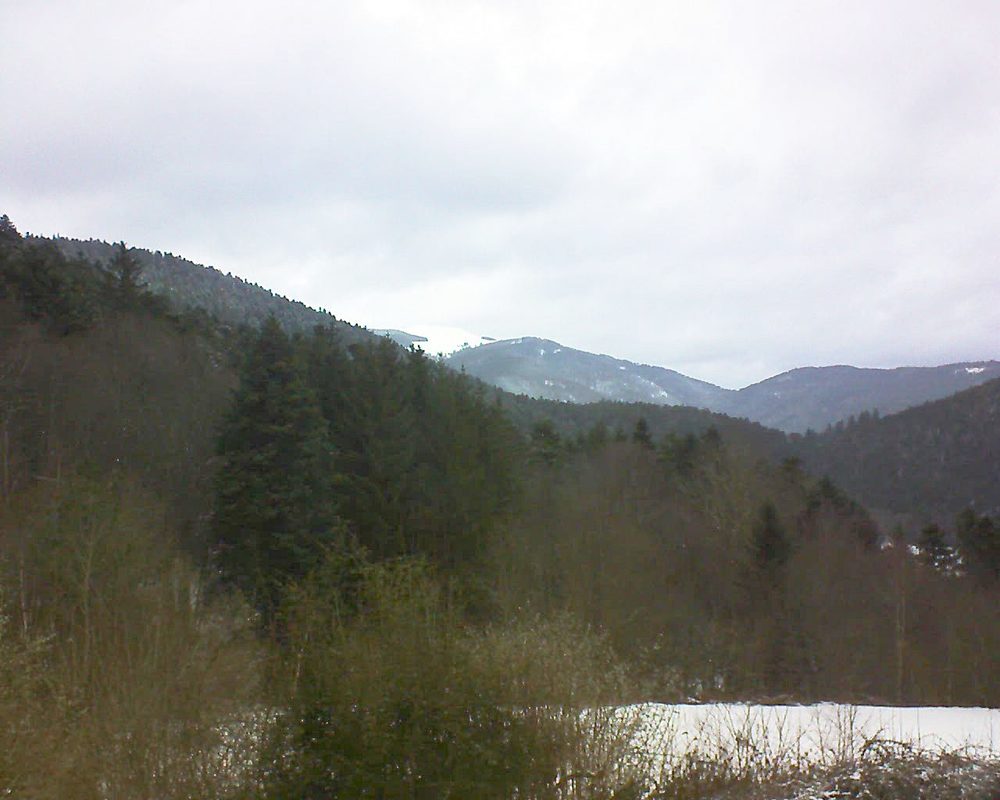 Le petit ballon (Alsace, Vosges) le 01.02.2022 à 09:30