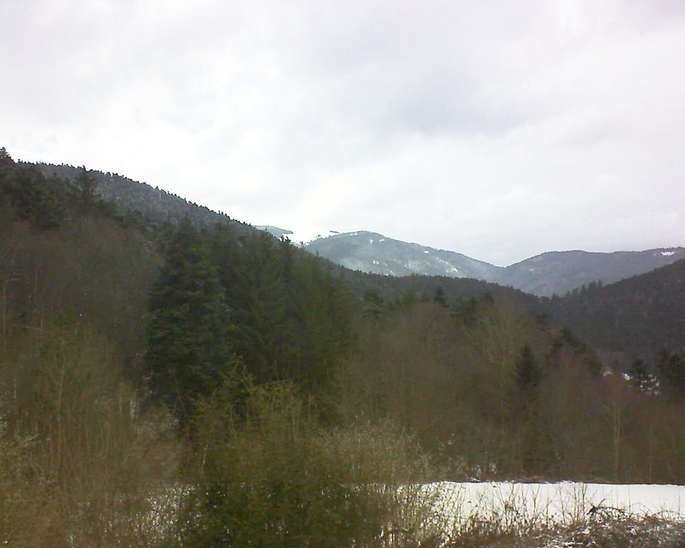 Le petit ballon (Alsace, Vosges) le 01.02.2022 à 09:45