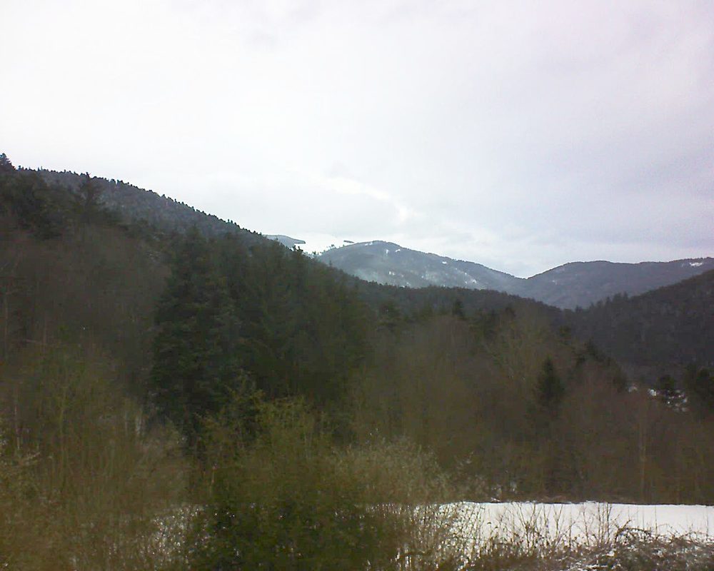 Le petit ballon (Alsace, Vosges) le 01.02.2022 à 10:30