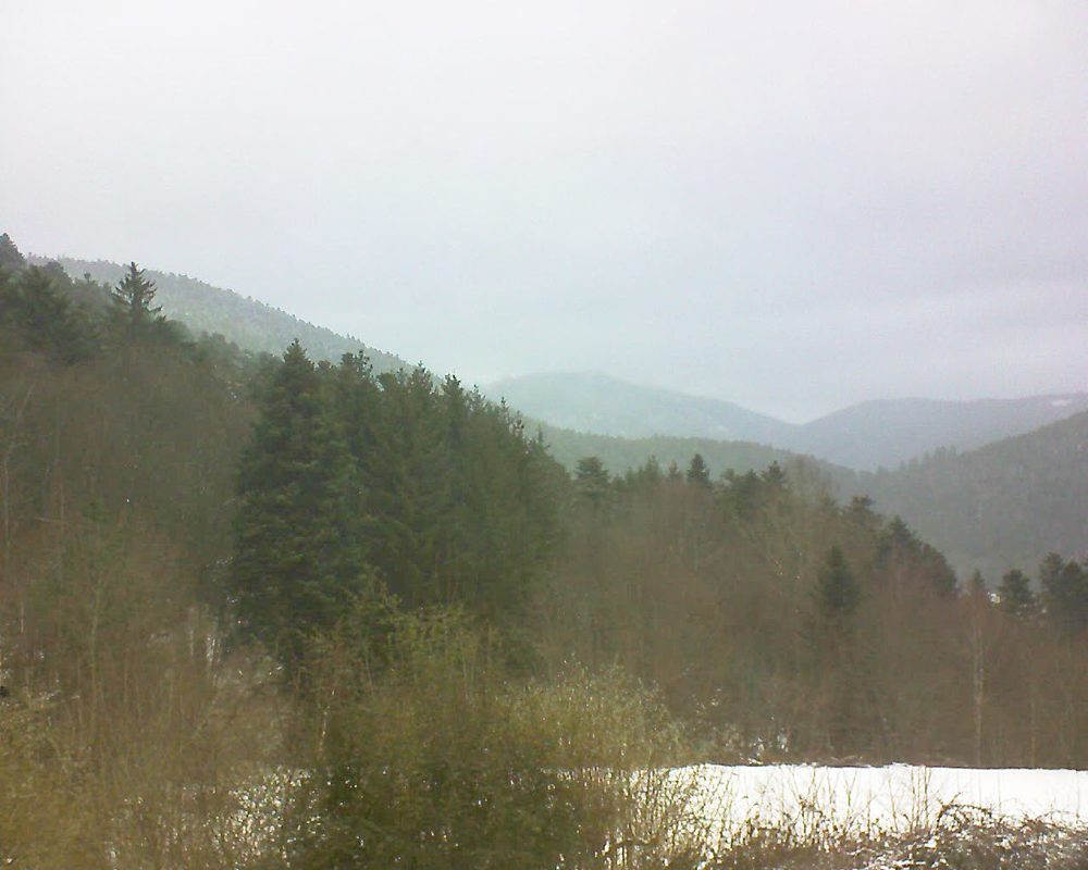 Le petit ballon (Alsace, Vosges) le 01.02.2022 à 12:30