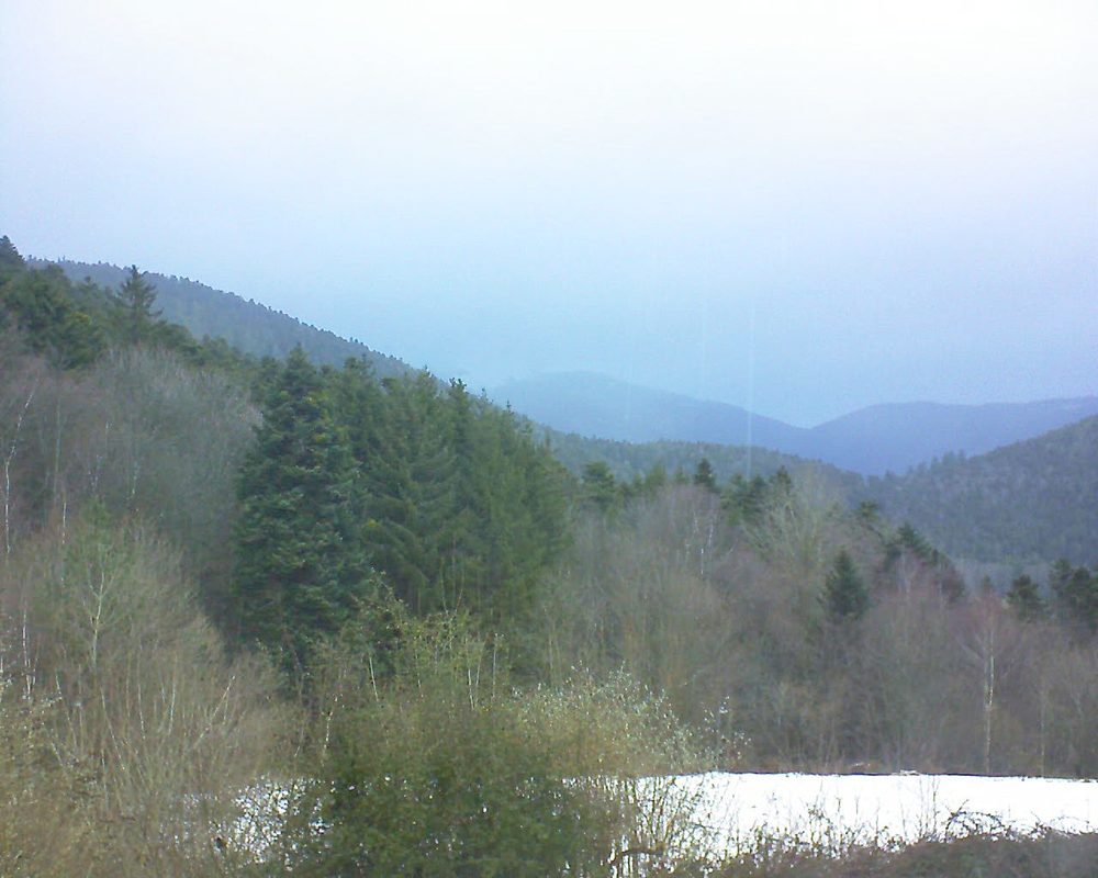 Le petit ballon (Alsace, Vosges) le 02.02.2022 à 10:15