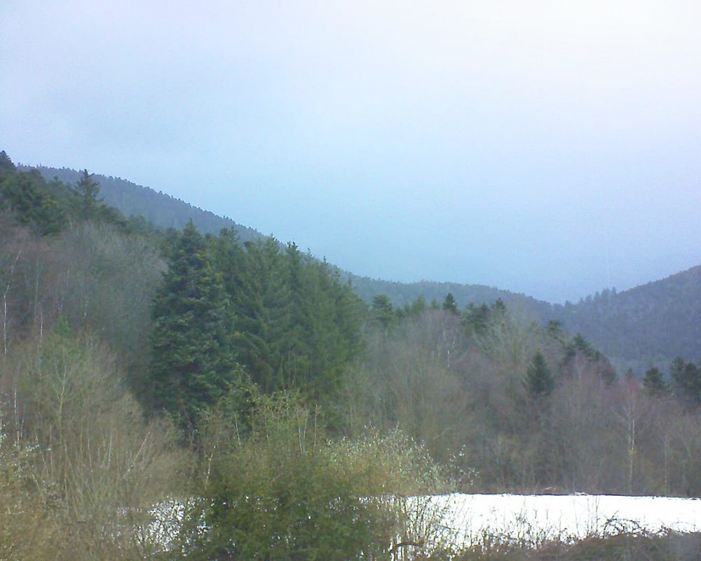 Le petit ballon (Alsace, Vosges) le 02.02.2022 à 10:30