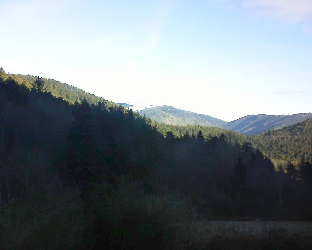 Le petit ballon (Alsace, Vosges) le 08.02.2022 à 09:30