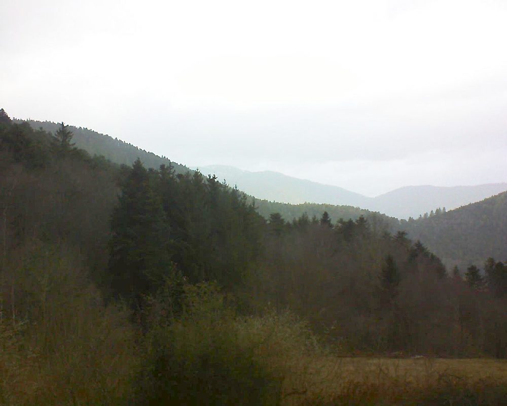 Le petit ballon (Alsace, Vosges) le 14.02.2022 à 09:30