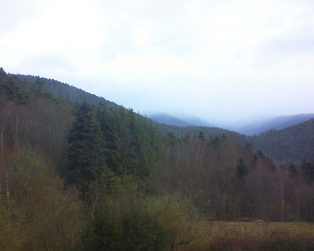 Le petit ballon (Alsace, Vosges) le 15.02.2022 à 08:30