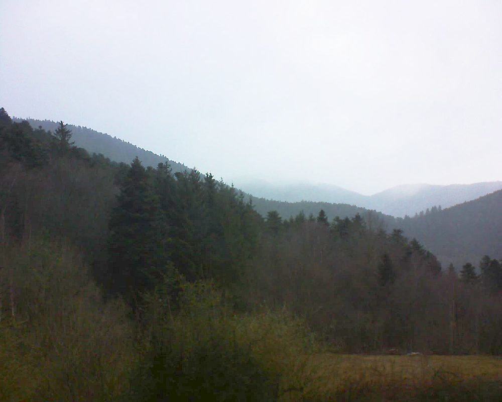 Le petit ballon (Alsace, Vosges) le 15.02.2022 à 09:15