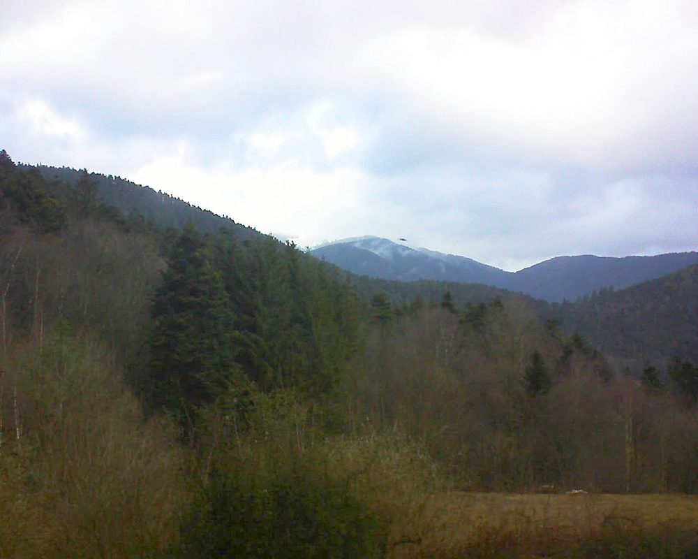 Le petit ballon (Alsace, Vosges) le 15.02.2022 à 09:30