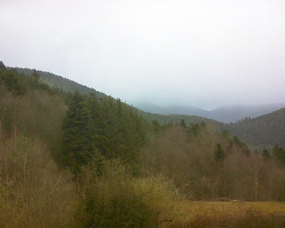 Le petit ballon (Alsace, Vosges) le 15.02.2022 à 10:30