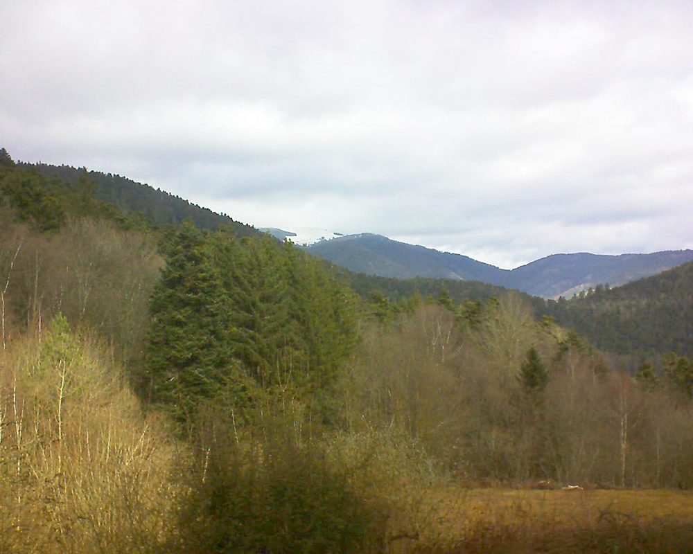 Le petit ballon (Alsace, Vosges) le 15.02.2022 à 11:30