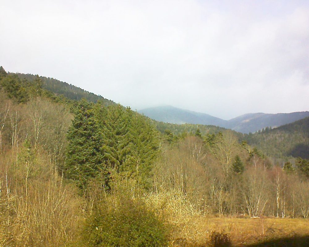 Le petit ballon (Alsace, Vosges) le 15.02.2022 à 12:30