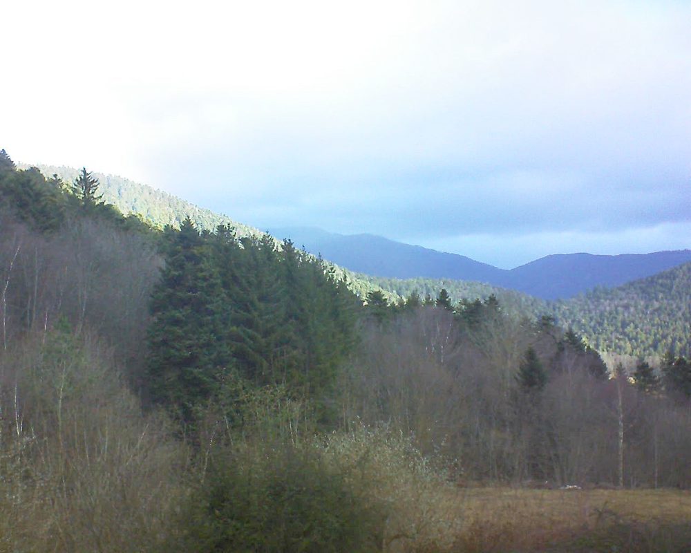 Le petit ballon (Alsace, Vosges) le 18.02.2022 à 09:30