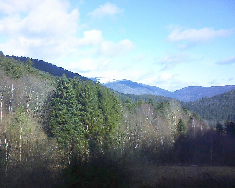 Le petit ballon vu depuis le Domaine Langmatt à Murbach le 19.02.2022 à 10:30 Le petit ballon (Alsace, Vosges) le 19.02.2022 à 10:30