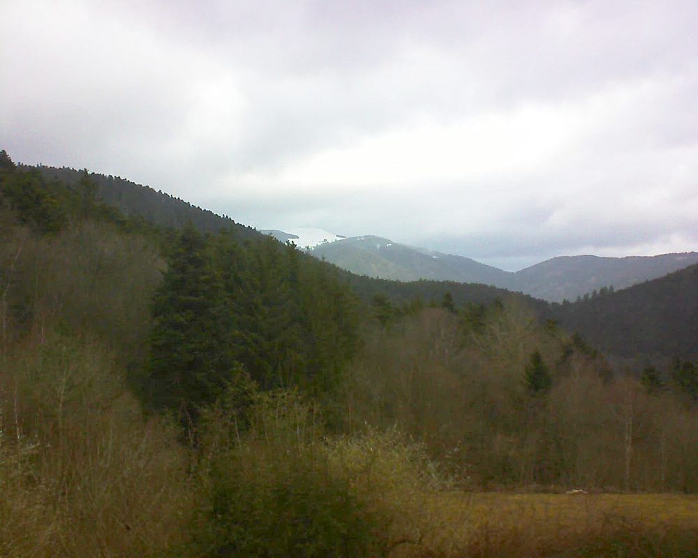 Le petit ballon (Alsace, Vosges) le 22.02.2022 à 09:30