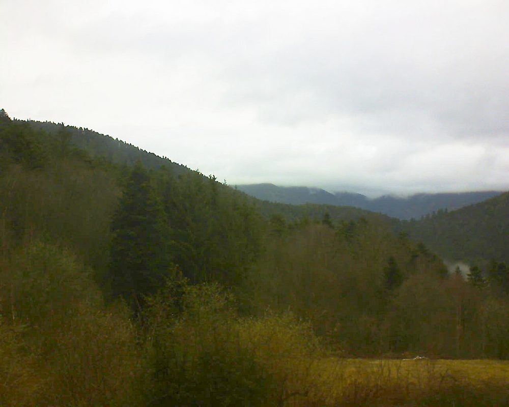 Le petit ballon (Alsace, Vosges) le 15.03.2022 à 09:30