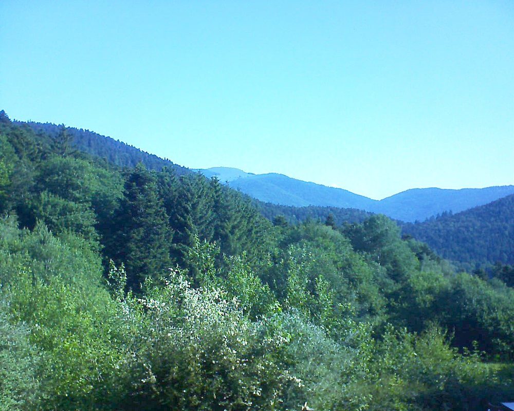 Le petit ballon (Alsace, Vosges) le 12.06.2022 à 09:00