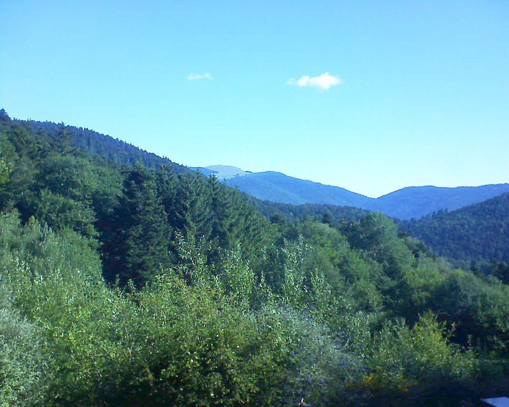 Le petit ballon (Alsace, Vosges) le 05.07.2022 à 09:00