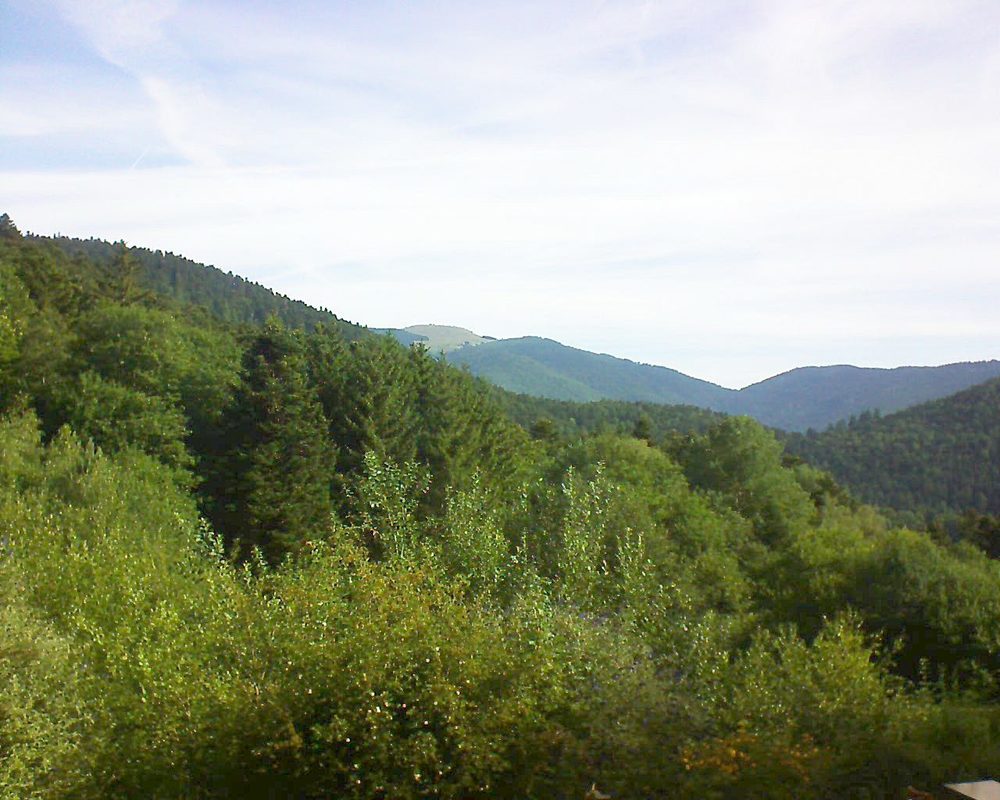 Le petit ballon (Alsace, Vosges) le 09.07.2022 à 09:00