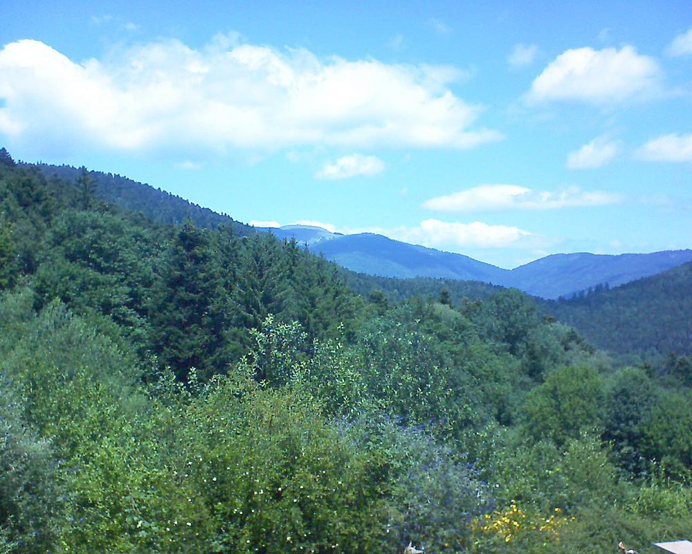 Le petit ballon (Alsace, Vosges) le 10.07.2022 à 13:15