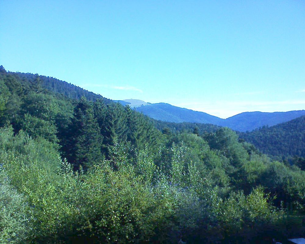 Le petit ballon (Alsace, Vosges) le 11.07.2022 à 09:00