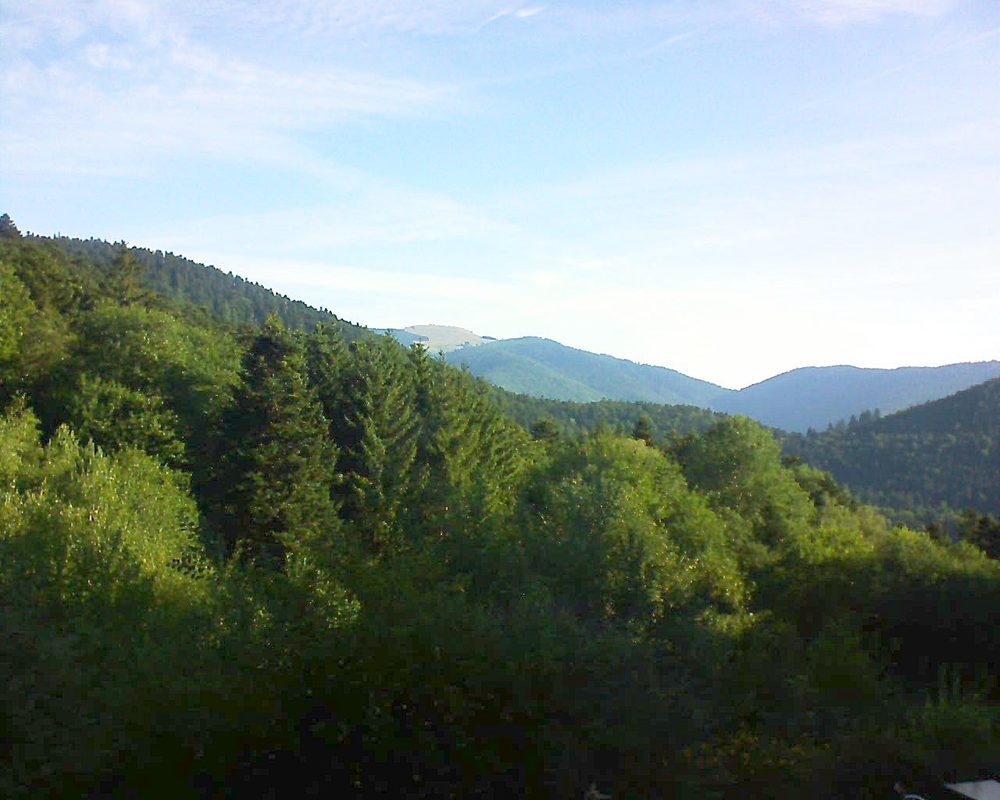 Le petit ballon (Alsace, Vosges) le 12.07.2022 à 08:00