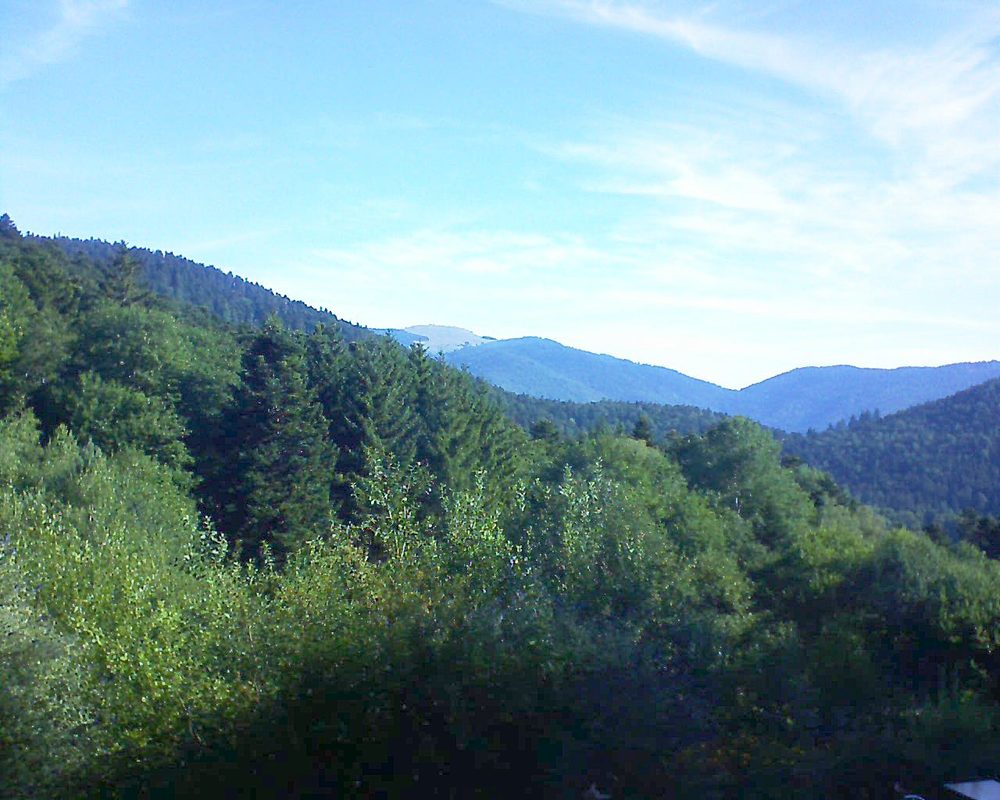 Le petit ballon (Alsace, Vosges) le 12.07.2022 à 08:45