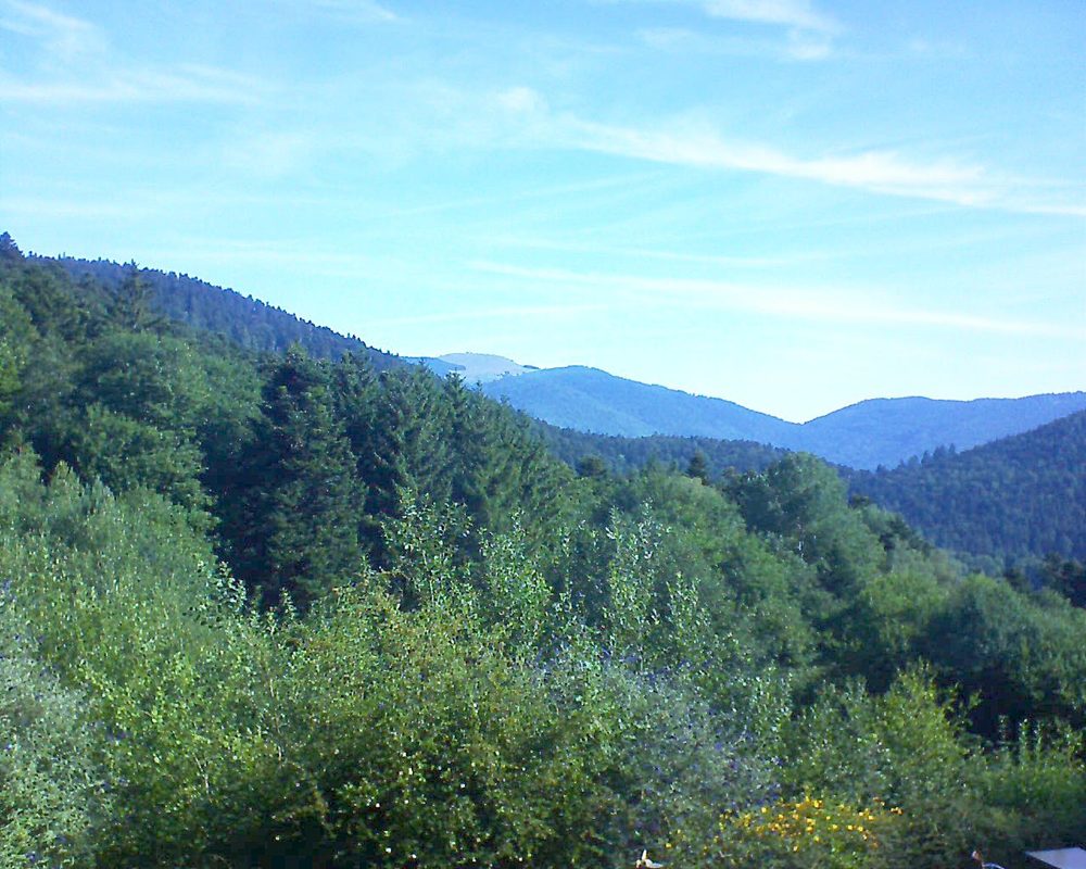 Le petit ballon (Alsace, Vosges) le 12.07.2022 à 09:15