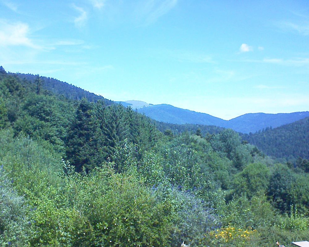 Le petit ballon (Alsace, Vosges) le 12.07.2022 à 12:00