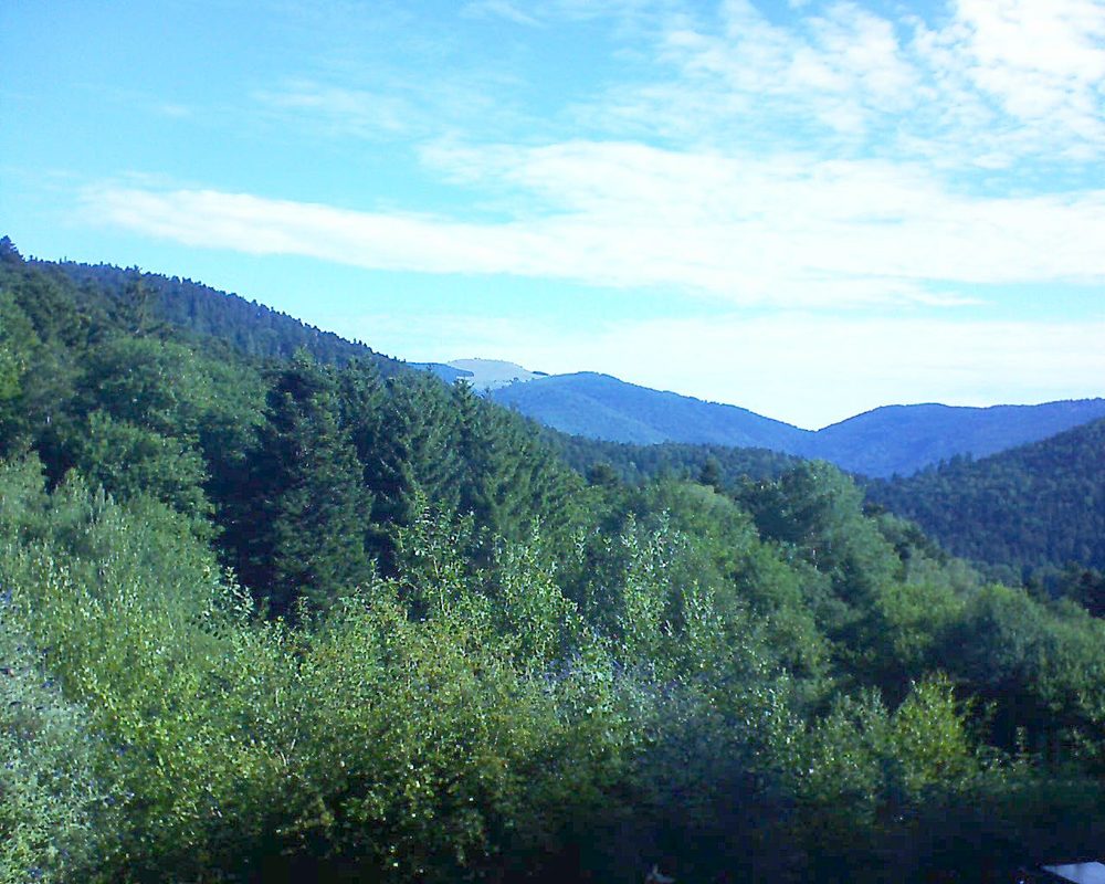 Le petit ballon (Alsace, Vosges) le 13.07.2022 à 09:00