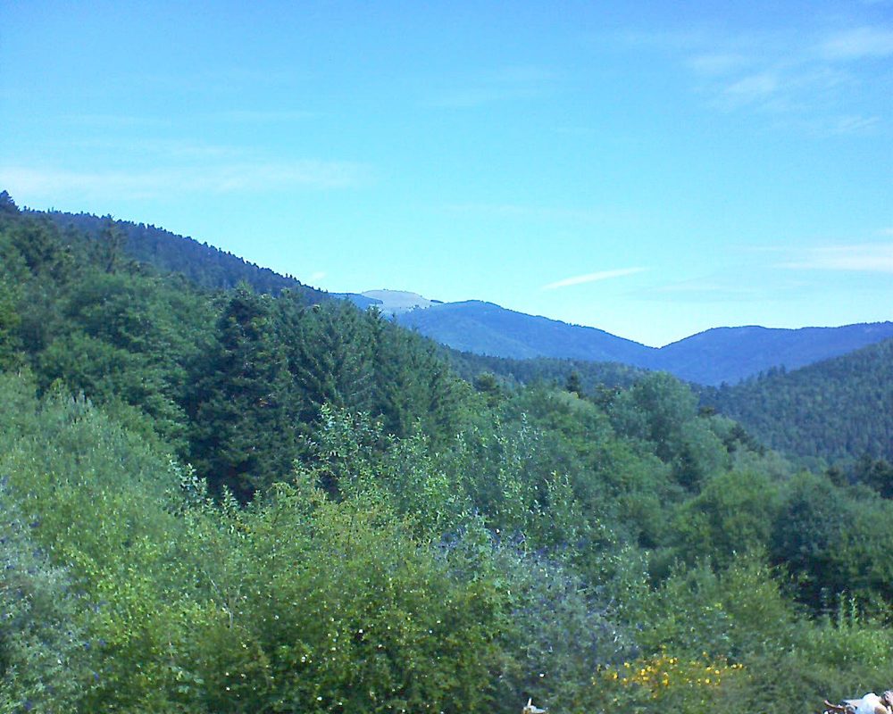 Le petit ballon (Alsace, Vosges) le 13.07.2022 à 11:15