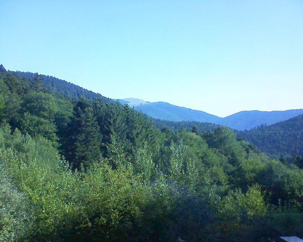 Le petit ballon (Alsace, Vosges) le 15.07.2022 à 09:00