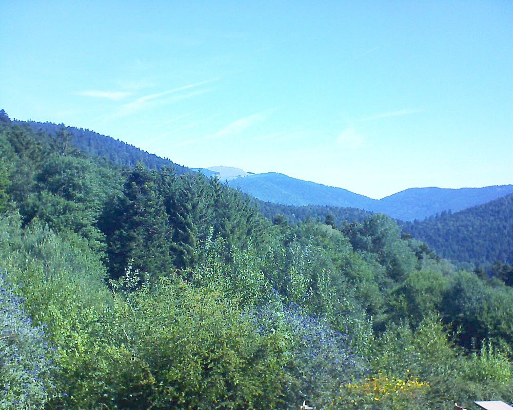 Le petit ballon vu depuis le Domaine Langmatt à Murbach le 17.07.2022 à 10:15 Le petit ballon (Alsace, Vosges) le 17.07.2022 à 10:15