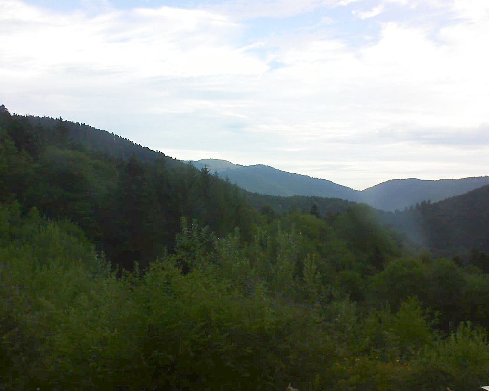 Le petit ballon (Alsace, Vosges) le 29.07.2022 à 07:15