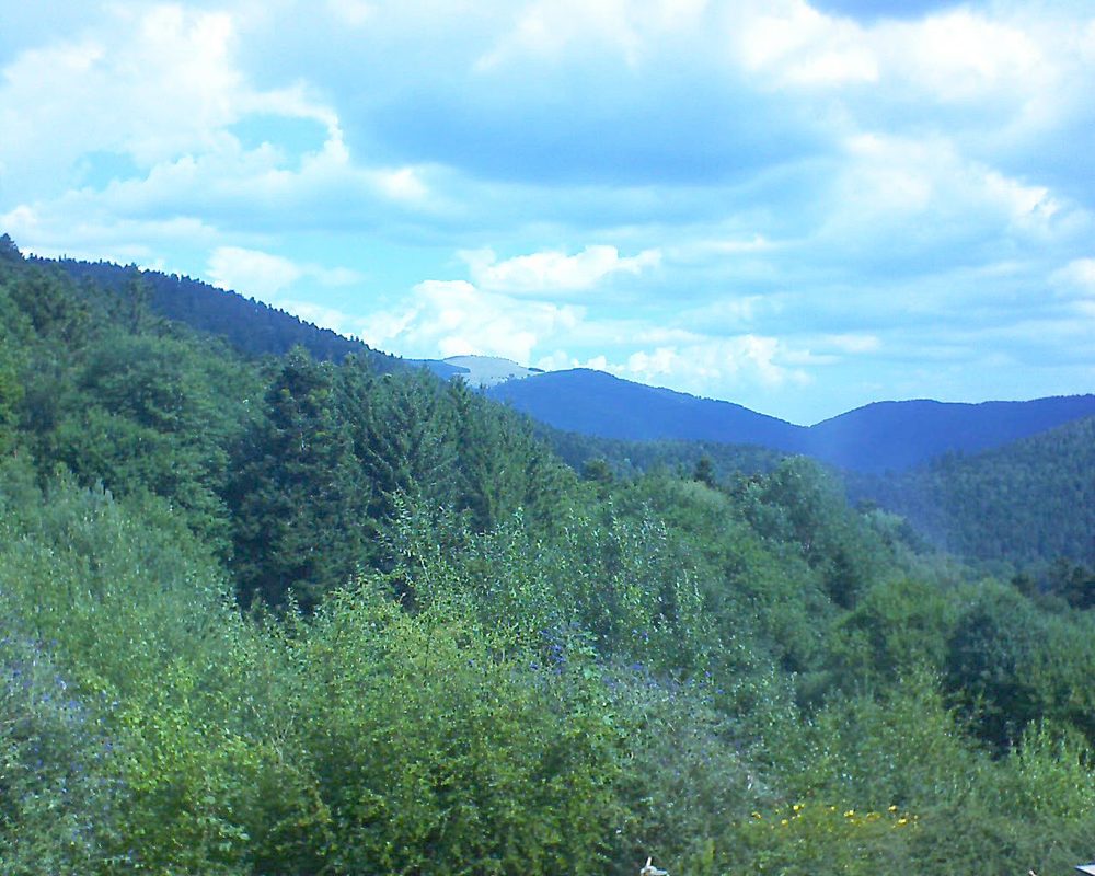 Le petit ballon (Alsace, Vosges) le 30.07.2022 à 11:15