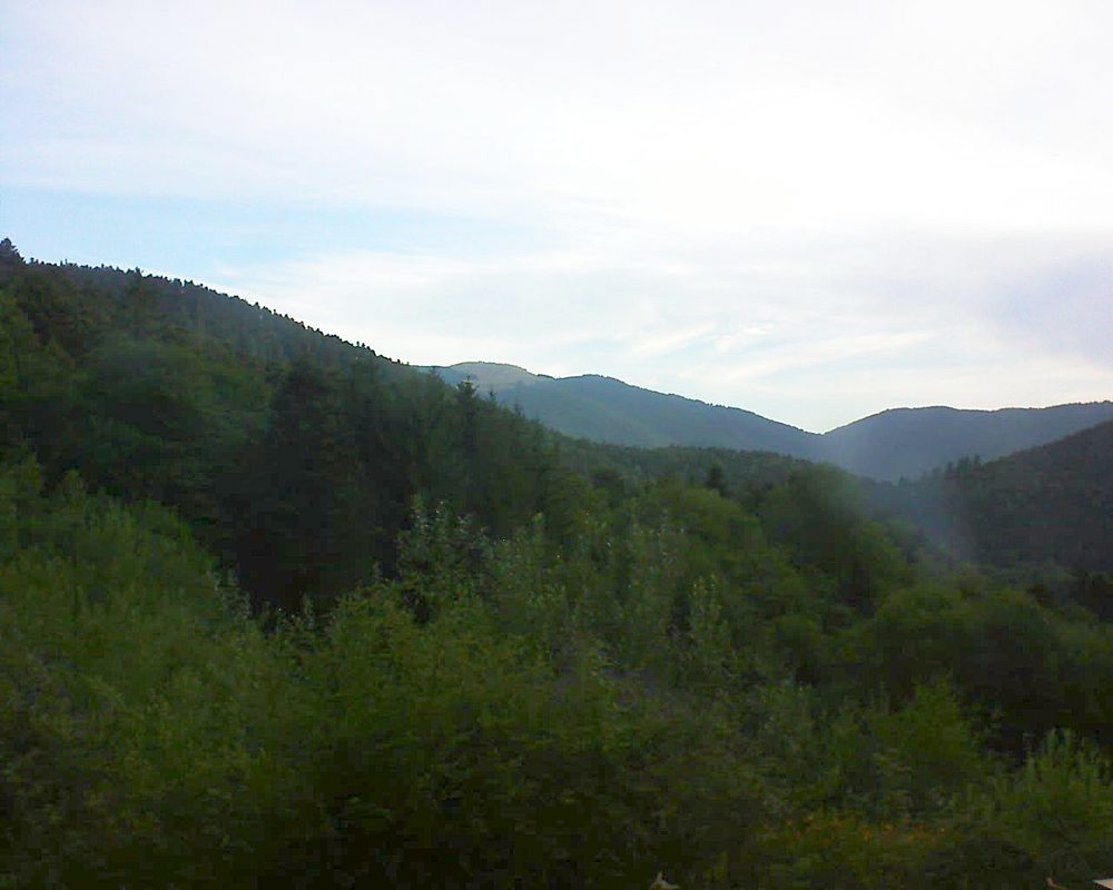 Le petit ballon (Alsace, Vosges) le 02.08.2022 à 07:15