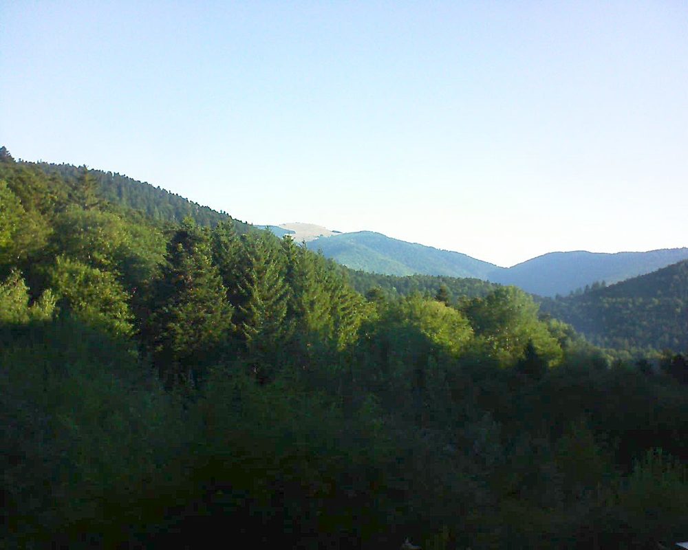 Le petit ballon (Alsace, Vosges) le 09.08.2022 à 08:15